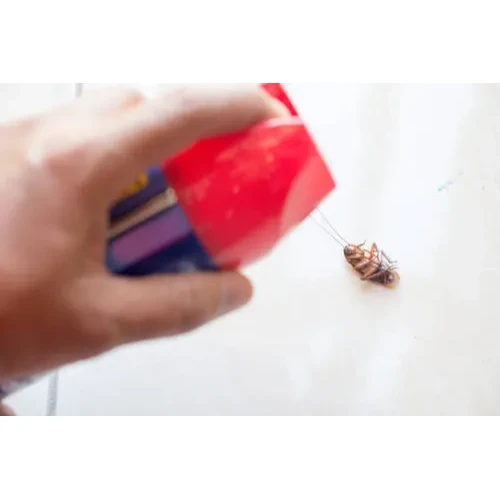 مبيدات عناكب