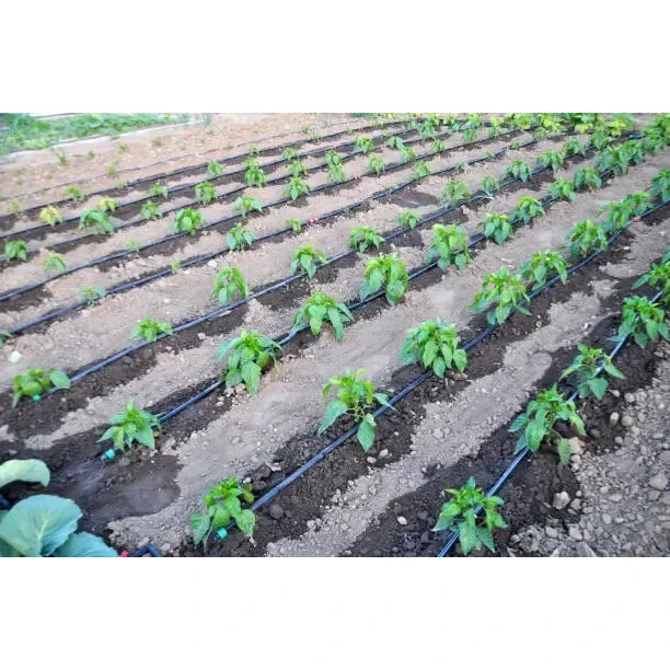 أدوات الري بالتنقيط