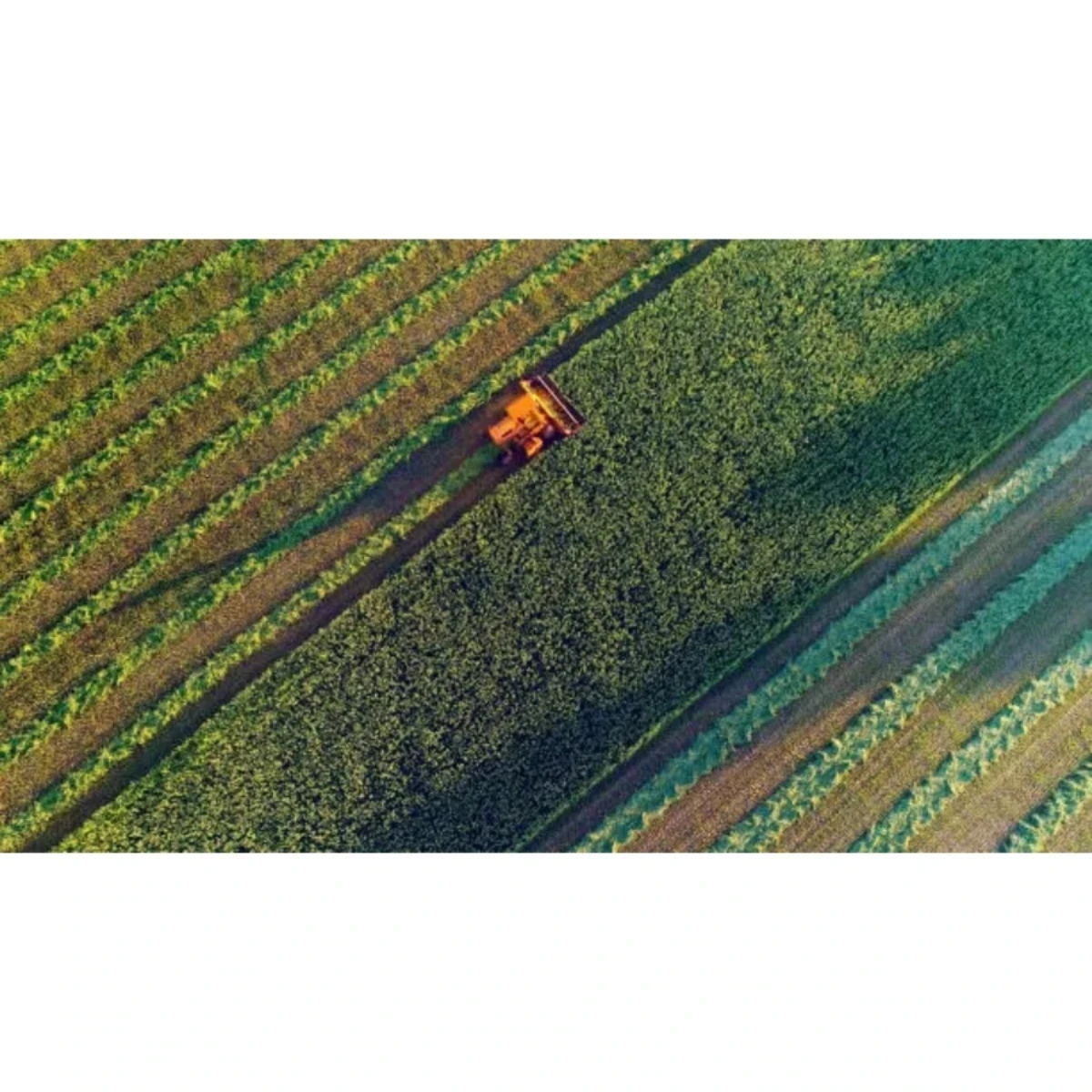 المعدات والالات