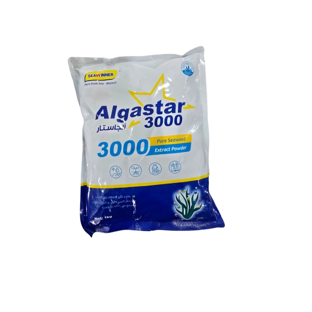 ألجا 6000